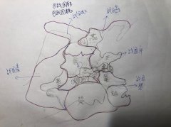 一图解春秋